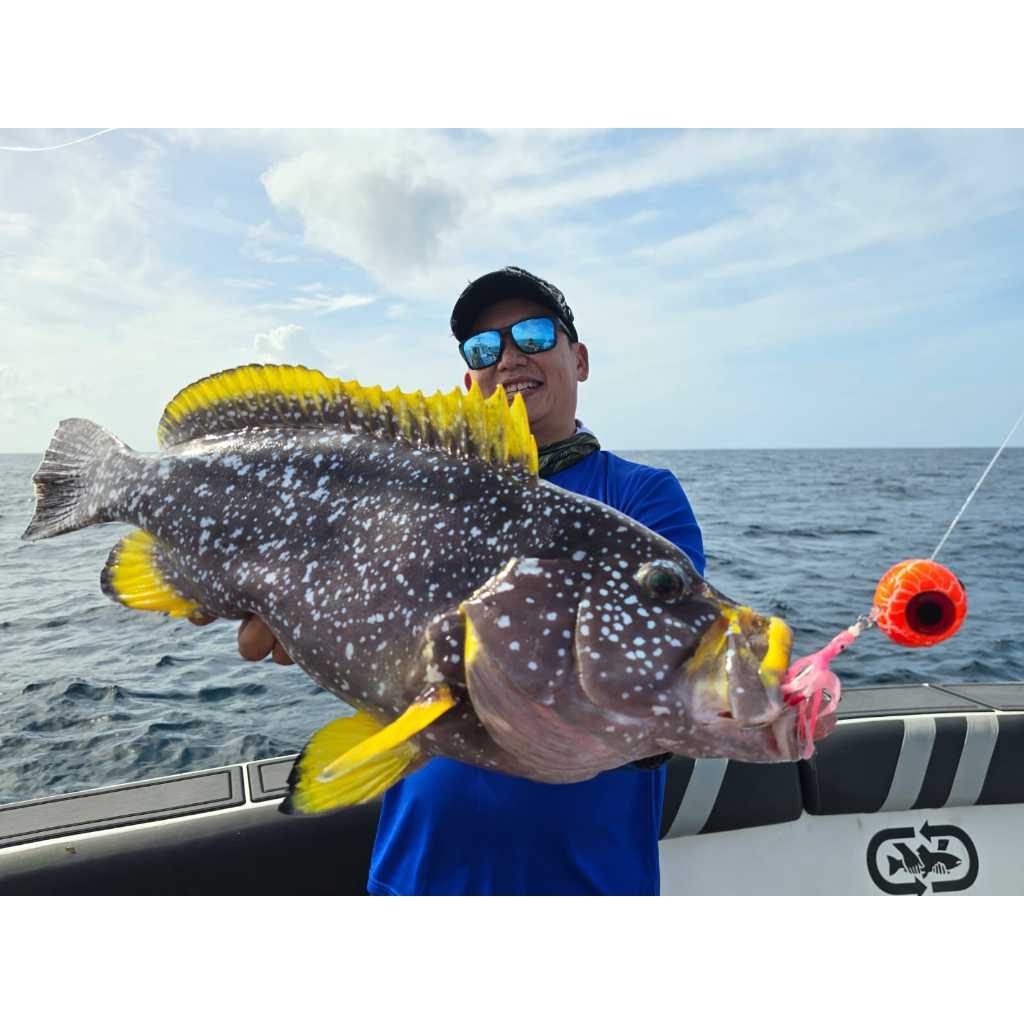 Heavy Duty Deep Water Sliding Madai Jig System - image 7