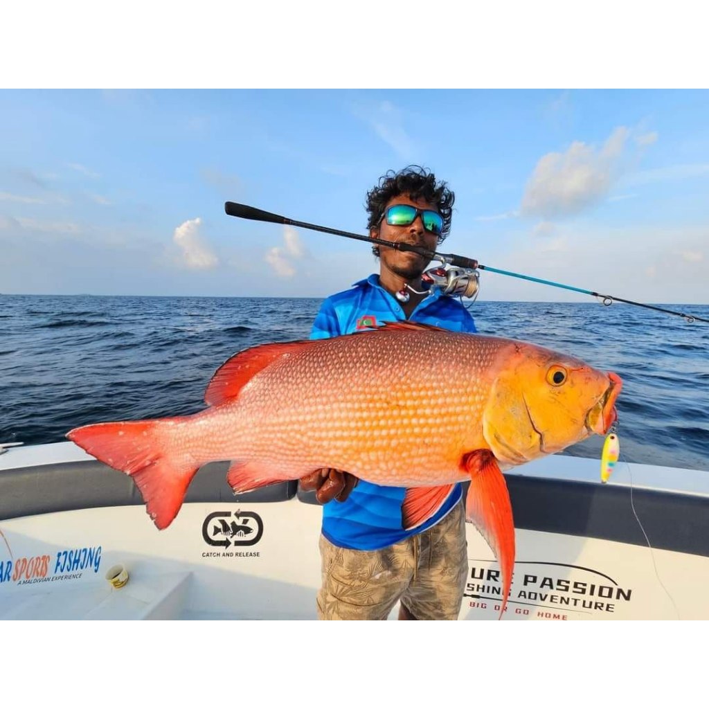 Hot Dog Micro Reef Jig for Shallow Coral & Groupers - image 7