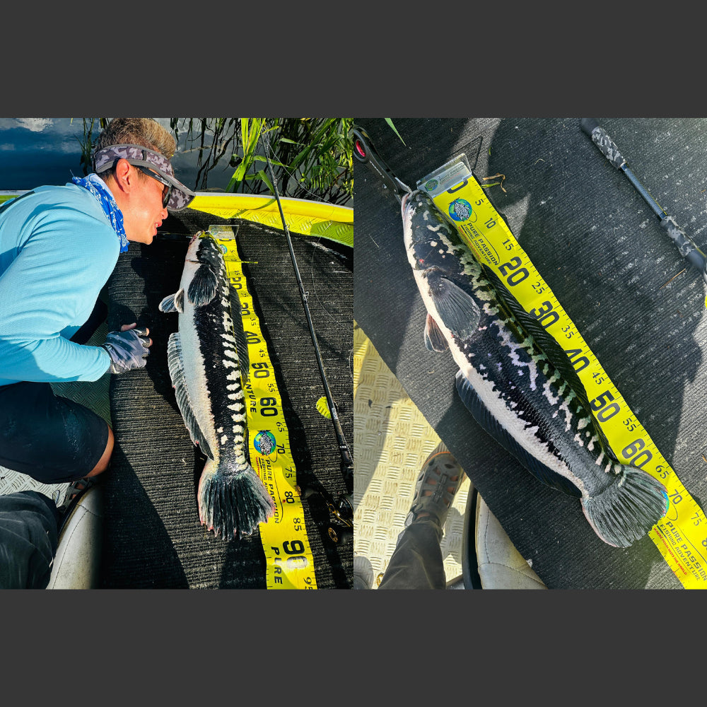 Fish Measuring Tape PURE PASSION with Acrylic Stop 150cm long 10cm wide catch and release