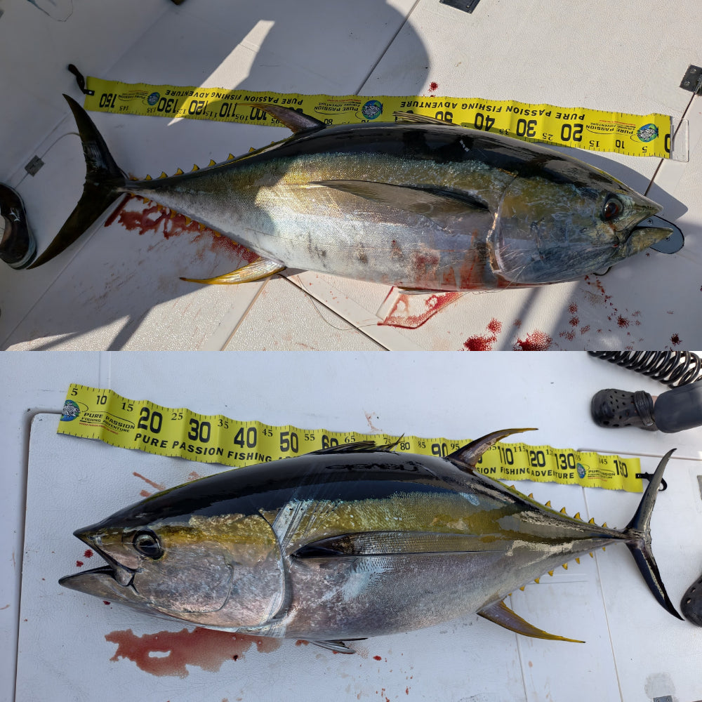Fish Measuring Tape PURE PASSION with Acrylic Stop 150cm long 10cm wide catch and release